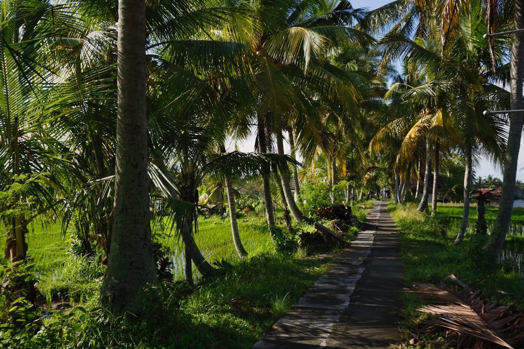 Satori Villas Bali Ubud Dış mekan fotoğraf