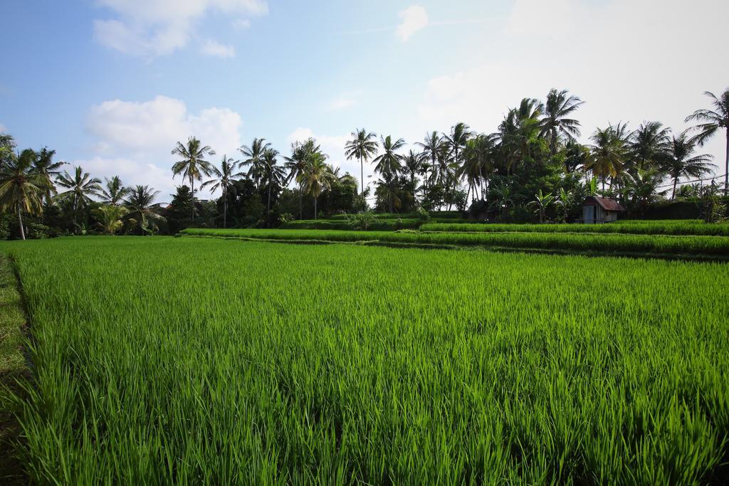 Satori Villas Bali Ubud Dış mekan fotoğraf