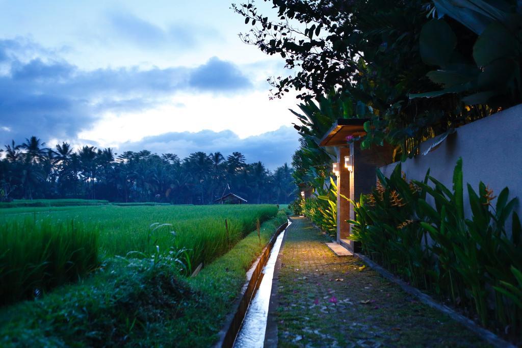 Satori Villas Bali Ubud Dış mekan fotoğraf