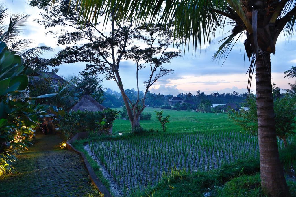 Satori Villas Bali Ubud Dış mekan fotoğraf