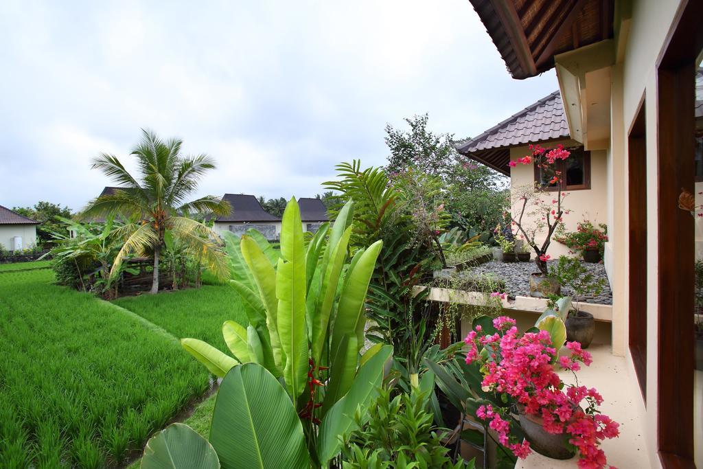 Satori Villas Bali Ubud Dış mekan fotoğraf