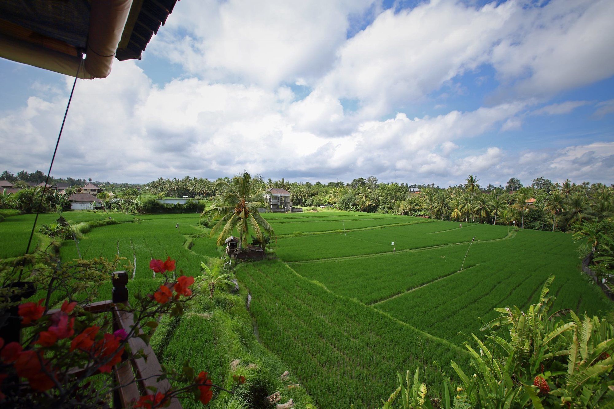 Satori Villas Bali Ubud Dış mekan fotoğraf